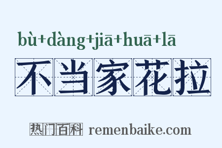 不当家花拉是什么意思的图片